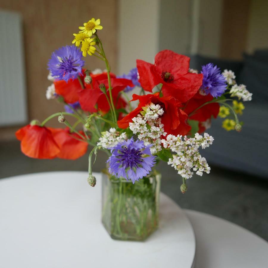 חרודה Viervaart Studio Appartement מראה חיצוני תמונה